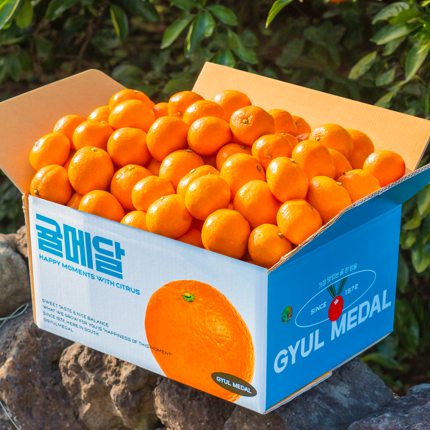 고당도 선별 12브릭스 제주 하우스감귤 10kg 5kg 대용량