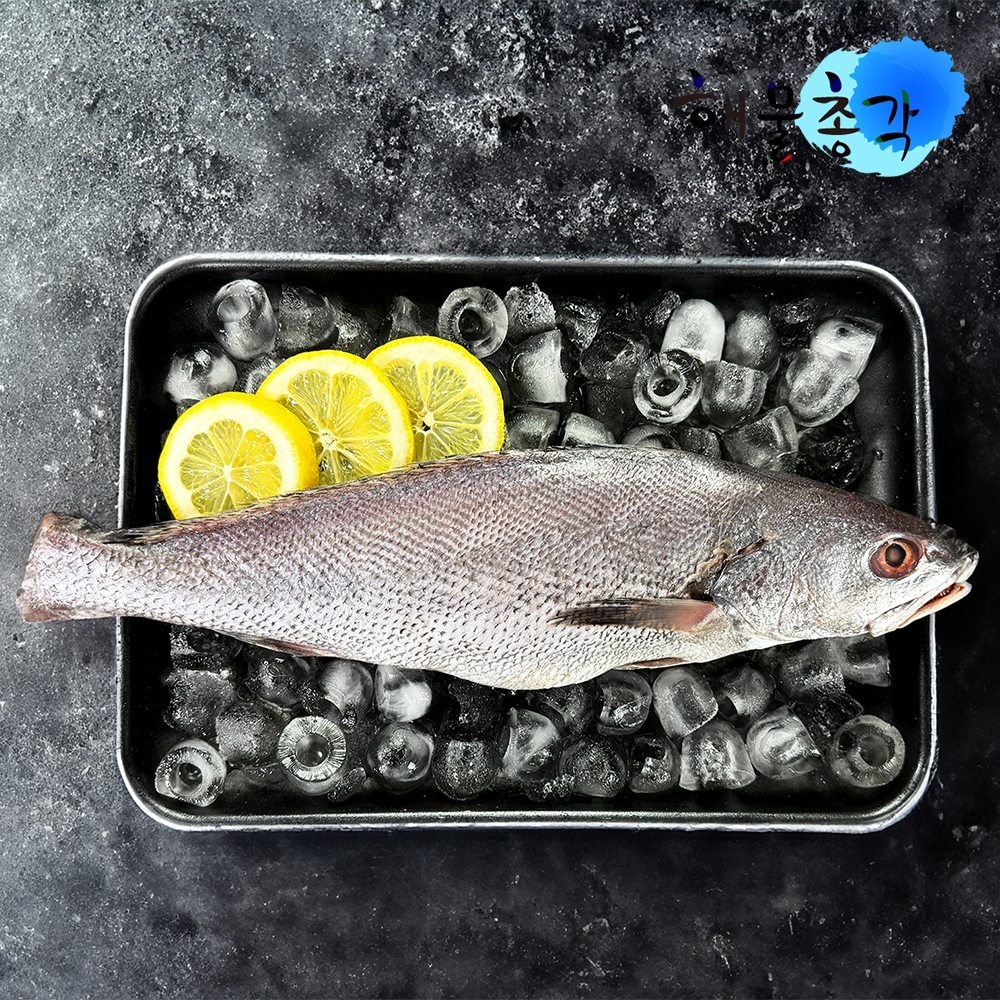 해물총각 민어 매운탕 민어탕 제수용 반건조 생선 제주민어