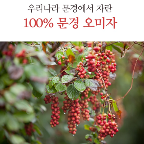 김소형 문경 발효 오미자 열매 진액 1L 2병 1박스 차 즙 액기스 추출액 음료 효능 - 상세 이미지 3