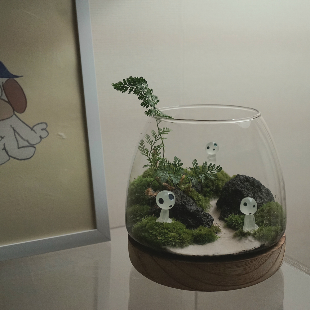 테라리움 키트 이끼테라리움 만들기 A 델가도 유치원소녀 이미지 3