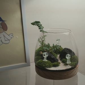 테라리움 키트 이끼테라리움 만들기 A 델가도 유치원소녀 실사용 후기 | 효과 있을까? - 상품 이미지 3