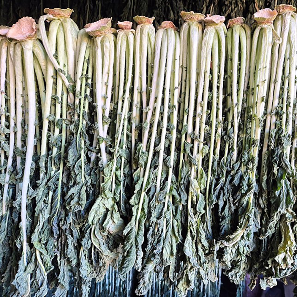 반건조 햇 무청 시래기 1kg 80% 건조 시래기 강원도 양구 펀치볼 동일종 - 메인 이미지