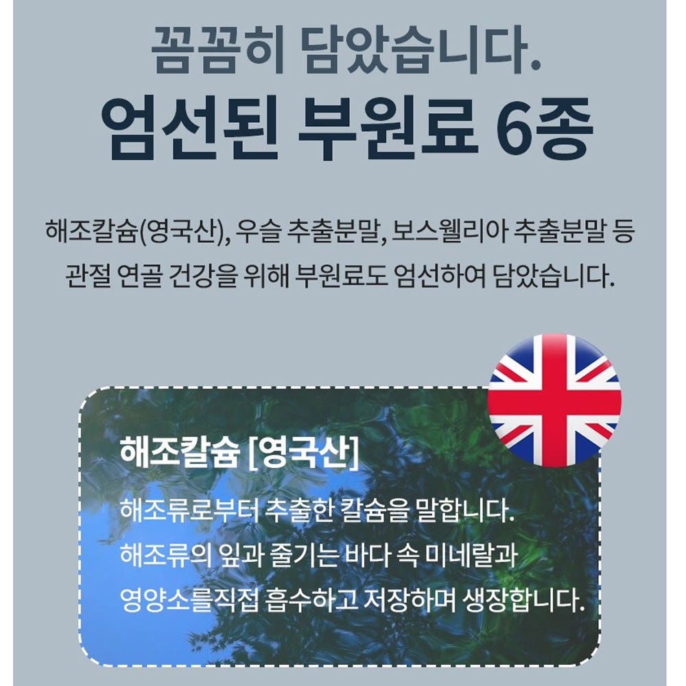 상어연골 콘드로이친 90정