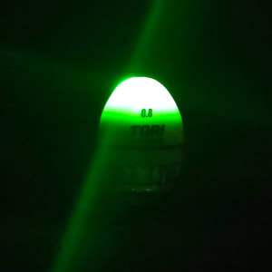 마리수 구멍전자찌 전자구멍찌 감성돔 구멍찌 주야겸용 토리 운동러 솔직 후기 | 실사용 리뷰 - 상품 이미지 2