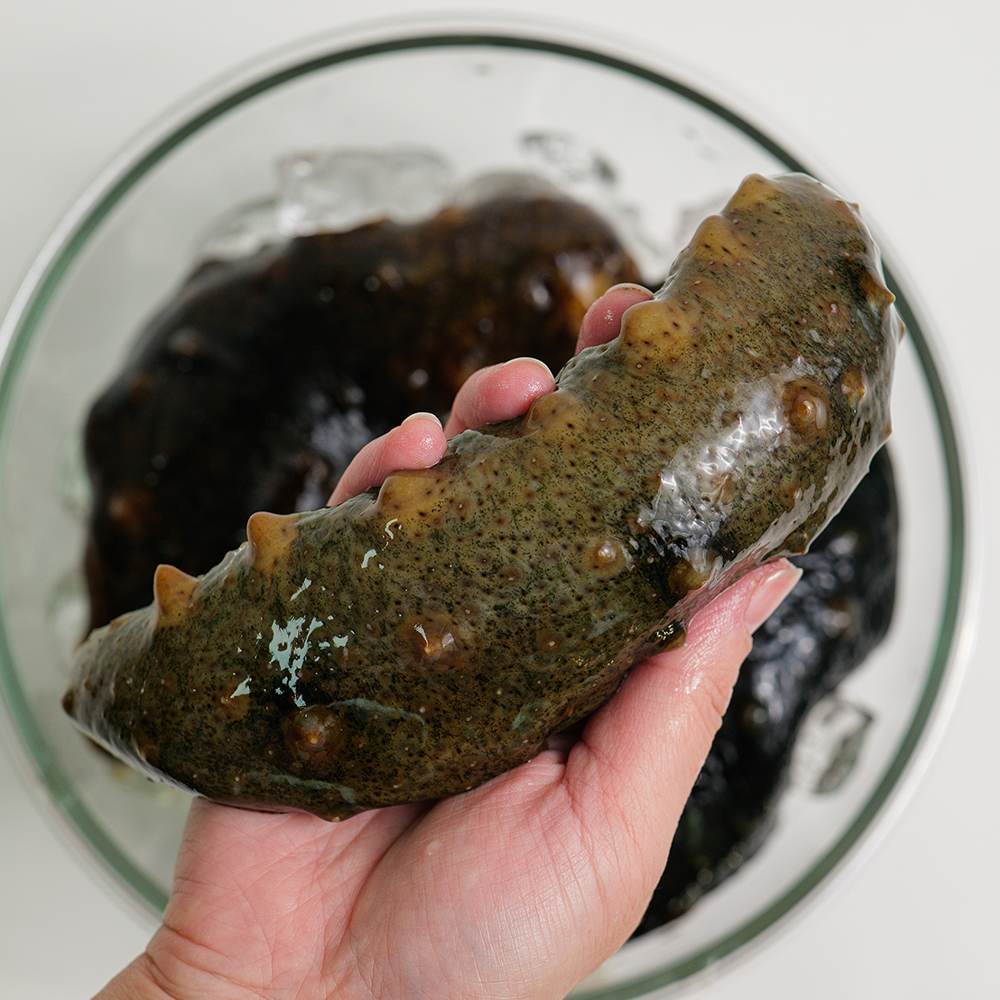 자연산 통영 해삼 회 제철 활해삼 500g 1kg 이미지 6