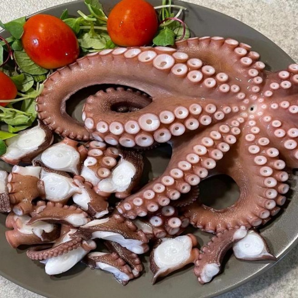 돌문어시세 자연산돌문어 생문어 살아있는 문어택배 2kg, 1개 이미지 8