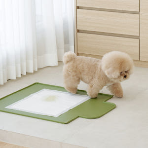 텍미홈 실리콘 배변매트 무독성 방수 강아지매트 솔직 후기 | 실제 사용자 리뷰 총정리 - 상품 이미지 1
