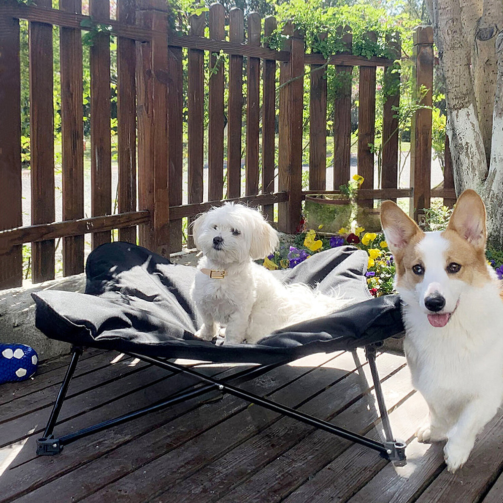 이지 폴딩 강아지침대 고양이해먹 쇼파 애견침대 캠핑 의자 펫베드 체어