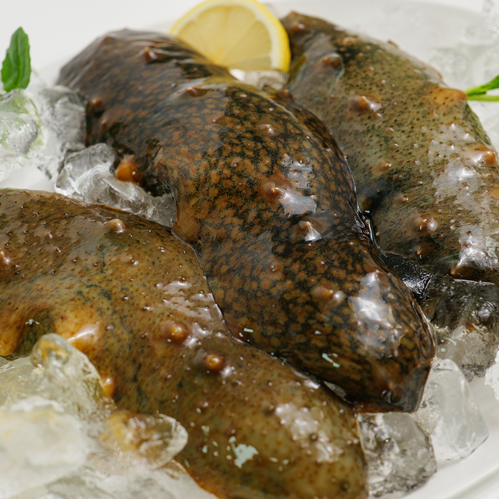 자연산 통영 해삼 회 제철 활해삼 500g 1kg - 상세 이미지 3