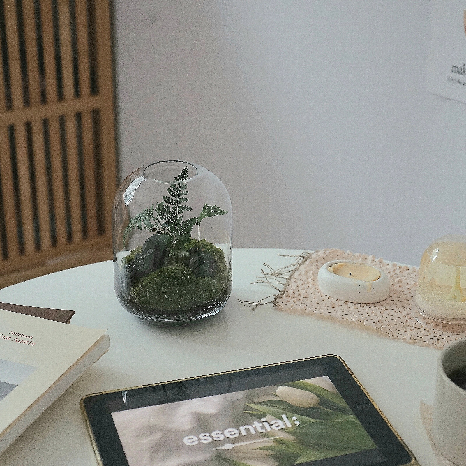 테라리움 키트 이끼테라리움 만들기 A 델가도 유치원소녀 이미지 2