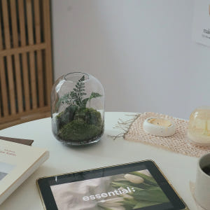 테라리움 키트 이끼테라리움 만들기 A 델가도 유치원소녀 실사용 후기 | 효과 있을까? - 상품 이미지 2