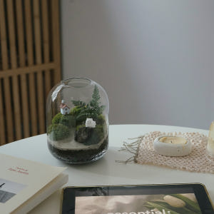 테라리움 키트 이끼테라리움 만들기 A 델가도 유치원소녀 실사용 후기 | 효과 있을까? - 상품 이미지 4