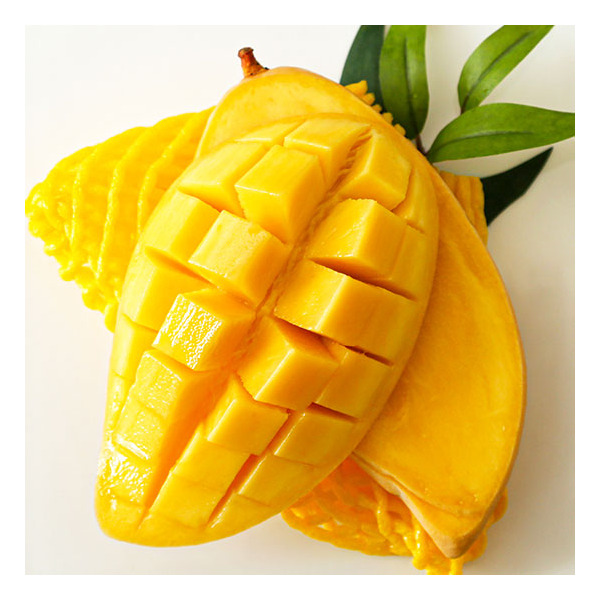 [농부마음] 태국망고 골드망고 5kg (10-18과) : 롯데아이몰