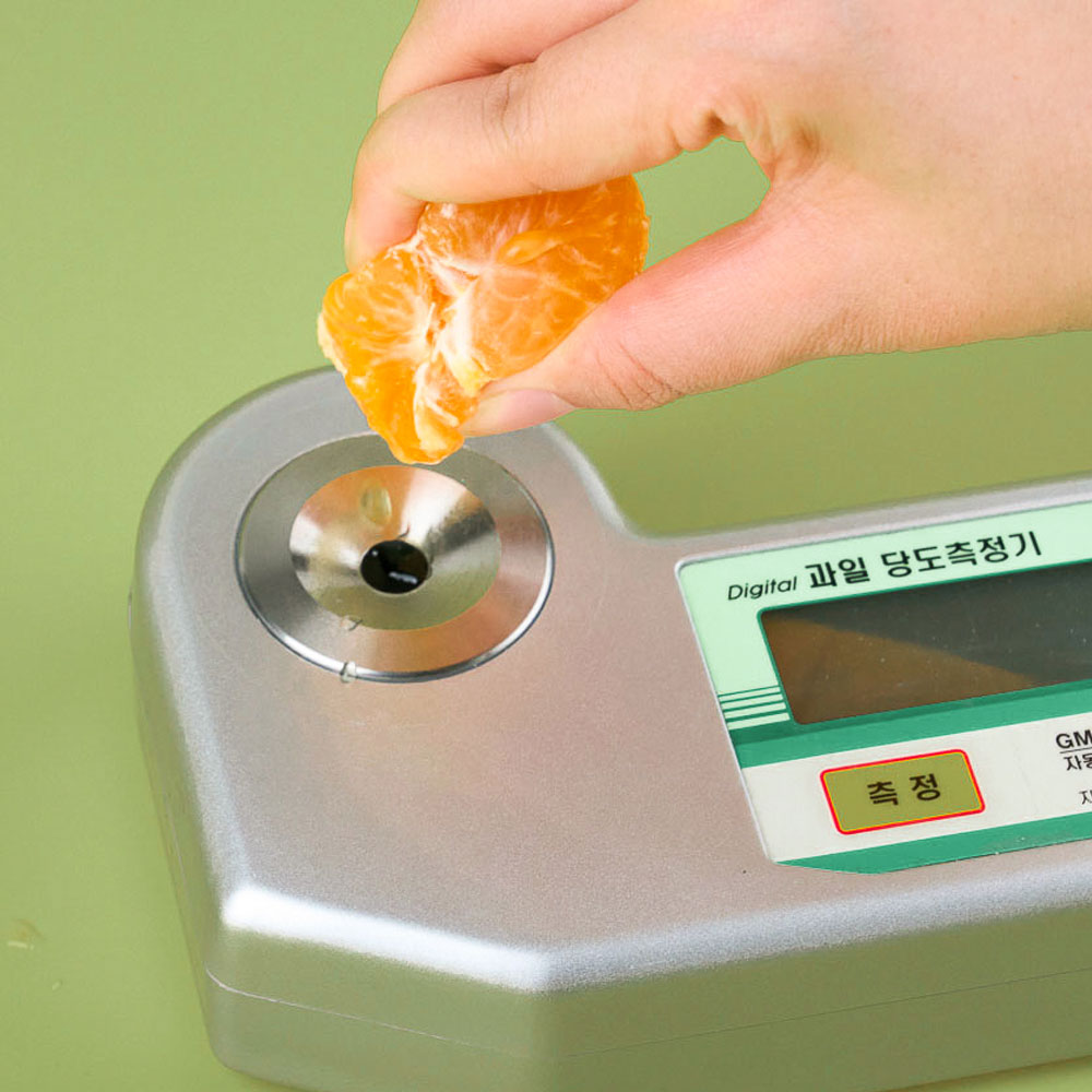 린디 고당도 한라봉 GAP AI당도선별 올레길 제주 만감 선물세트 - 상세 이미지 4