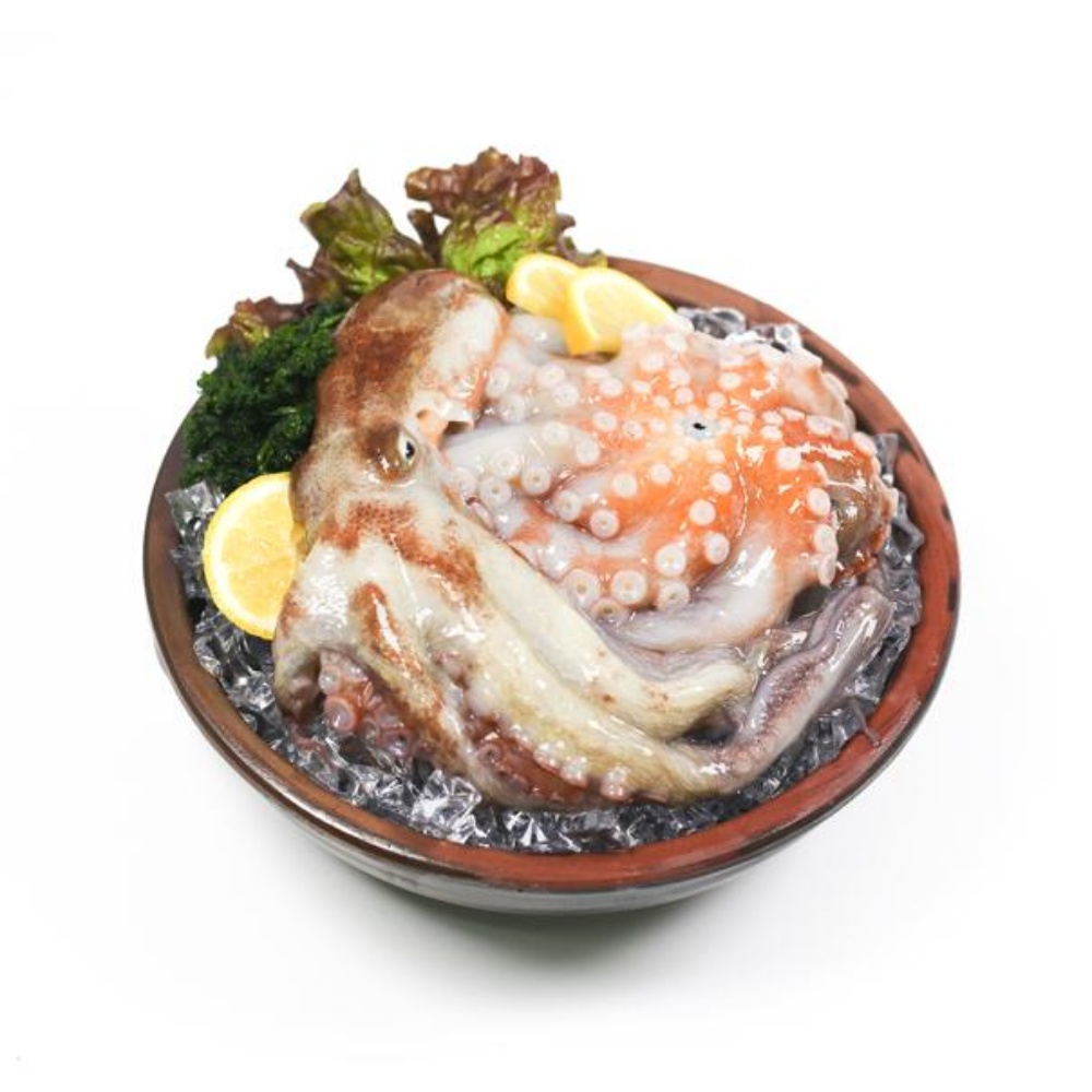 돌문어시세 자연산돌문어 생문어 살아있는 문어택배 2kg, 1개 이미지 7