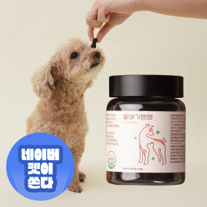 울애기쌩쌩 디어랩스 강아지 종합영양제 눈 피부 관절 면역 장 120g, ... 솔직 후기 | 실제 사용자 리뷰 총정리 - 상품 이미지 1