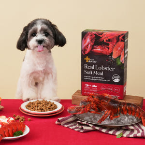 프리미엄 소프트 밀 수제사료 랍스터, 1kg, 1개 솔직 후기 | 실제 사용자 리뷰 총정리 - 상품 이미지 1