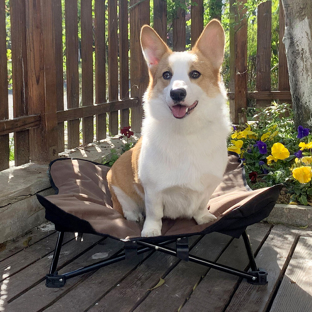 이지 폴딩 강아지침대 고양이해먹 쇼파 애견침대 캠핑 의자 펫베드 체어
