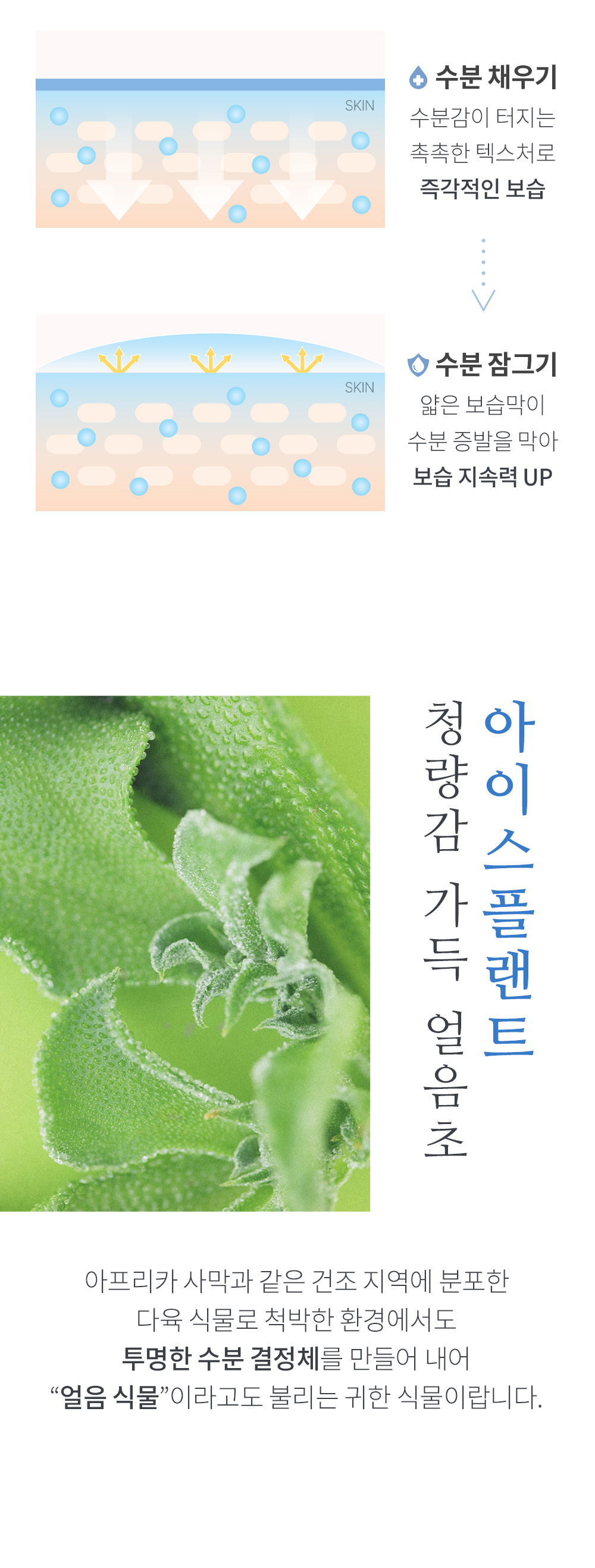crème iceplant so natural k-beauty