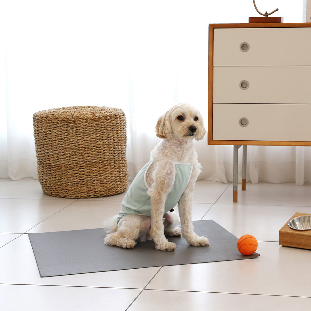강아지 고양이 애견 미끄럼방지 매트 슬개골탈구 방지 패드 69.5x58cm