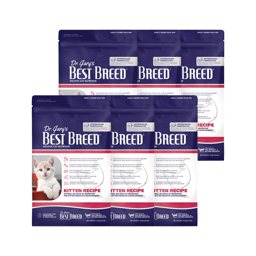 아기고양이사료 베스트브리드 캣 1등급 홀리스틱사료 키튼, 1.8kg, 6개