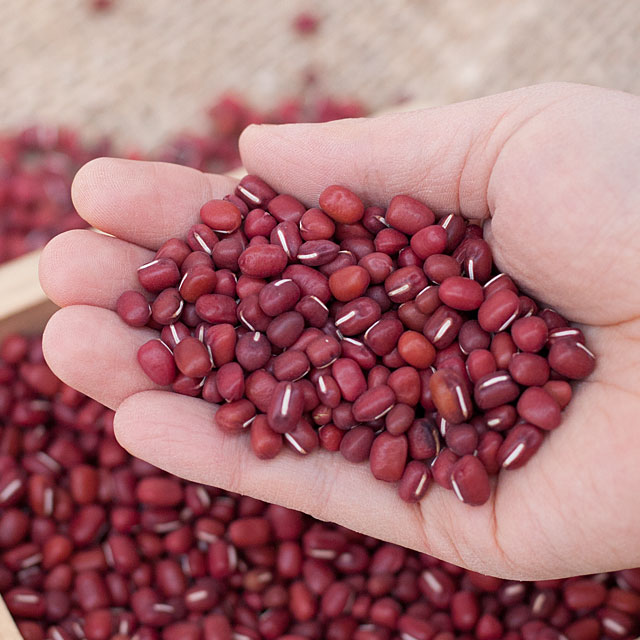 국산팥 적두 붉은팥 세척팥 1kg 부안 농장발송 햇
