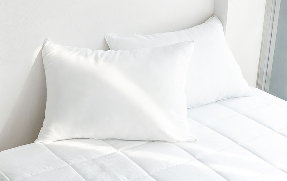 빨아쓰는 베개 알러지케어 일반형