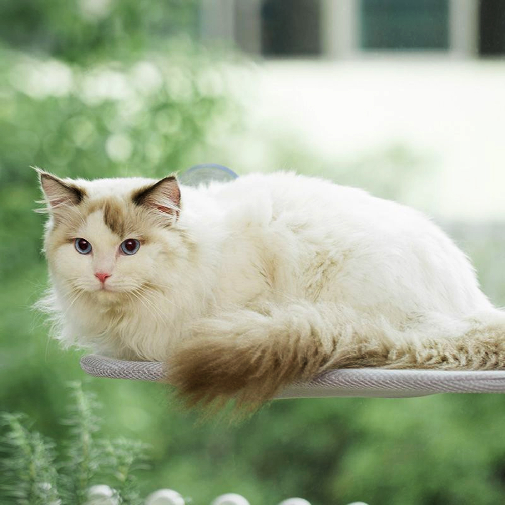 접이식 고양이 창문 해먹 침대 캣타워 흡착식 무타공 다묘 캣워커 - 상세 이미지 2