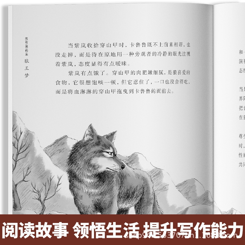 동물 그림책 소설 전집 울프 늑대왕의 꿈 전 5권 - 상세 이미지 4
