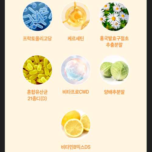 참굿즈 수용성 커큐민 강황추출물 정 60정 3통 6개월 인도산 강황 울금 뿌리 가루 효능 - 상세 이미지 4