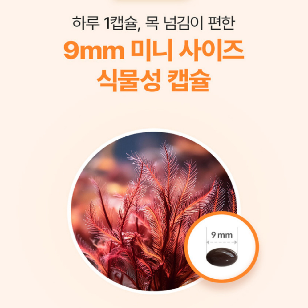 프라임 비타민 K2 플러스 D3 효능 60캡슐 x3박스 - 상세 이미지 3