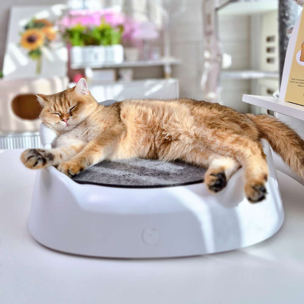 코코시루 온도조절 고양이침대 냉난방 스마트 펫침대 고양이 겨울 온열 C1CN