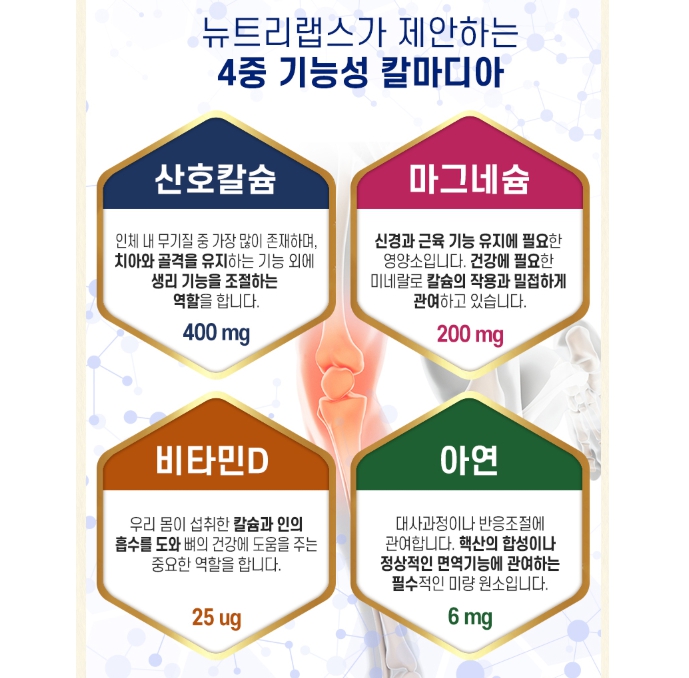 뉴트리랩스 칼마디아 1+1(6개월분) 식물성 산호칼슘 마그네슘 비타민d 아연 이미지 6