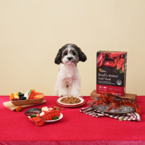 프리미엄 소프트 밀 수제사료 랍스터, 1kg, 1개 솔직 후기 | 실제 사용자 리뷰 총정리 - 상품 이미지 3