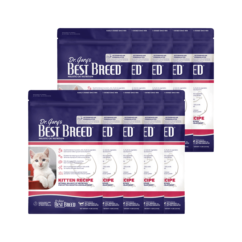 아기고양이사료 베스트브리드 캣 1등급 홀리스틱사료 키튼, 1.8kg, 10개