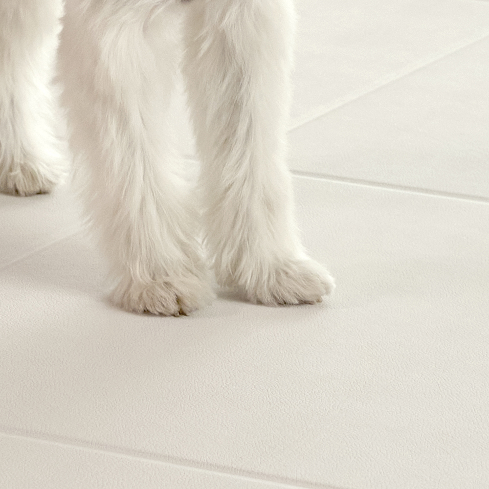 텍미홈 강아지매트 슬개골예방 미끄럼방지 애견 롤매트 100x60cm 제품 이미지