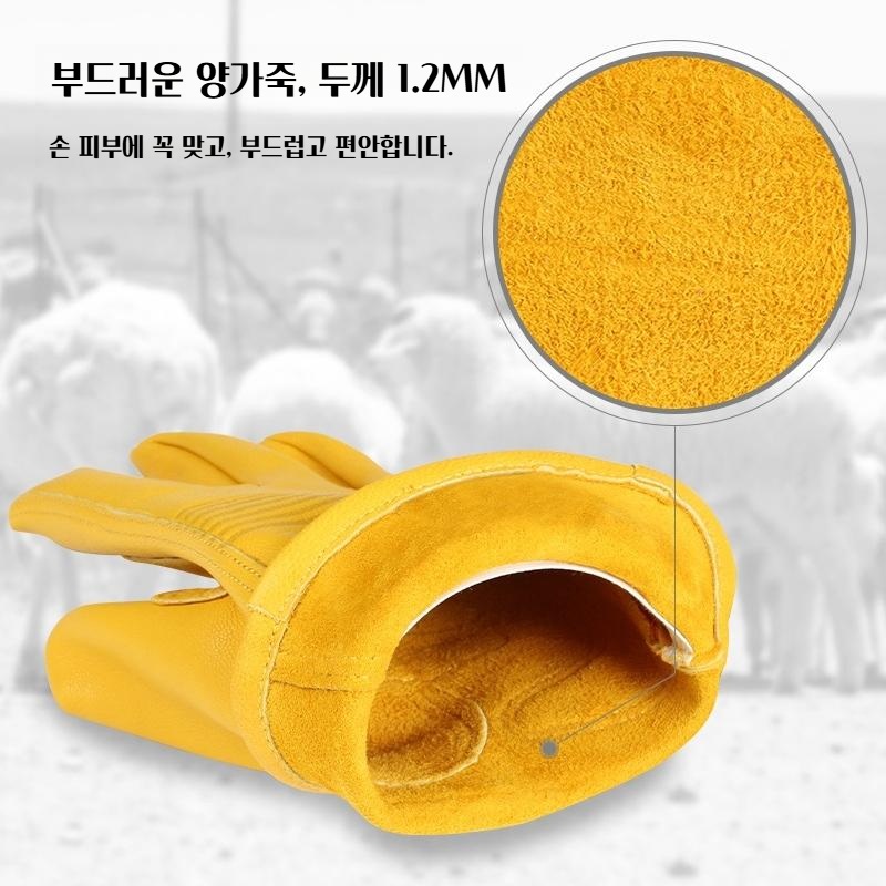 양가죽 방한 장갑 오토라이 라이더 장갑 - 상세 이미지 3