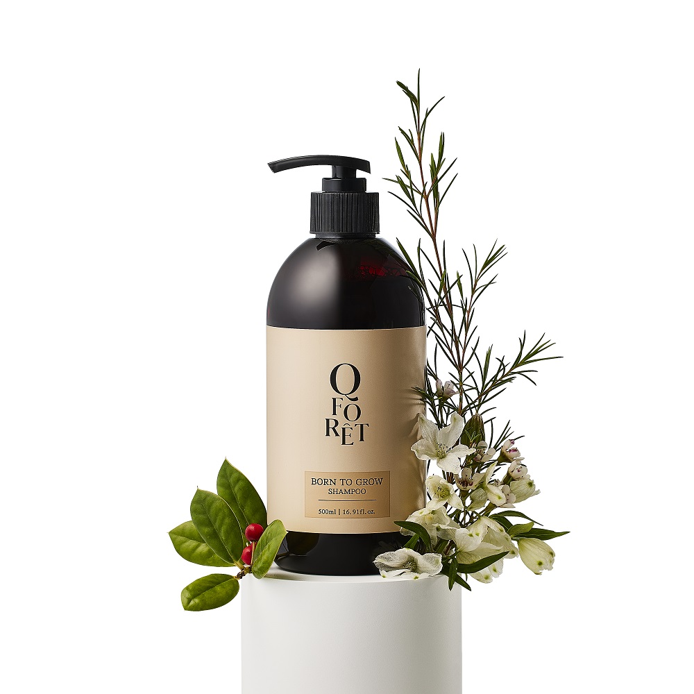 큐포레 샴푸 탈모 두피케어 약산성 아로마틱우디, 500ml, 1개 - 상품 이미지
