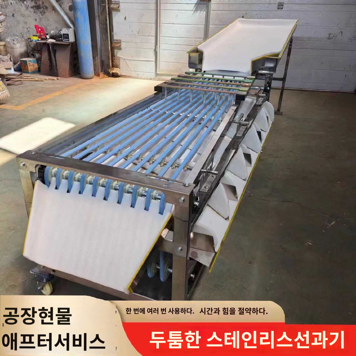 과일 스크류 과수용 대추 선별기 탄소강 분류 - 상세 이미지 2