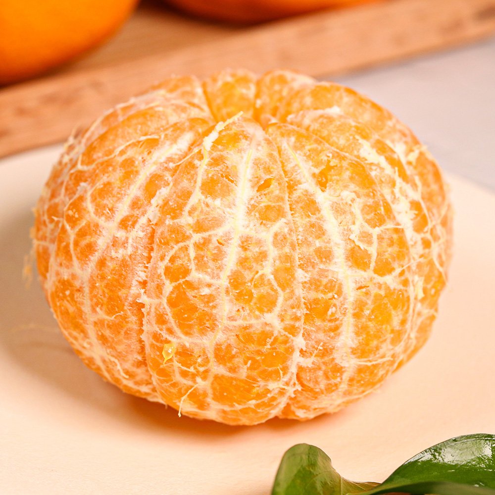 제주 레드향 직배송 프리미엄 가정용 선물세트