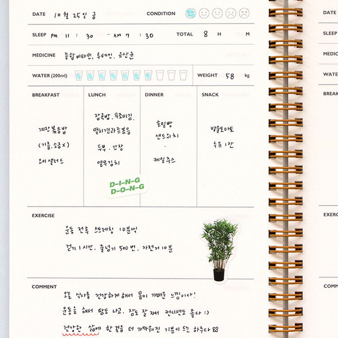 운동일지 다이어트다이어리 식단일기 데일리플래너 6개월 다이어트일기 A5 이미지 8