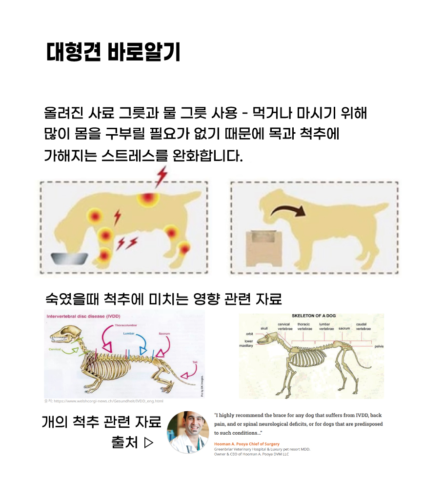 타비오 대형견 펫도어 시공 특대형 베란다 강아지출입문 견문 개문 반려견 개구멍 방충망 이미지 6