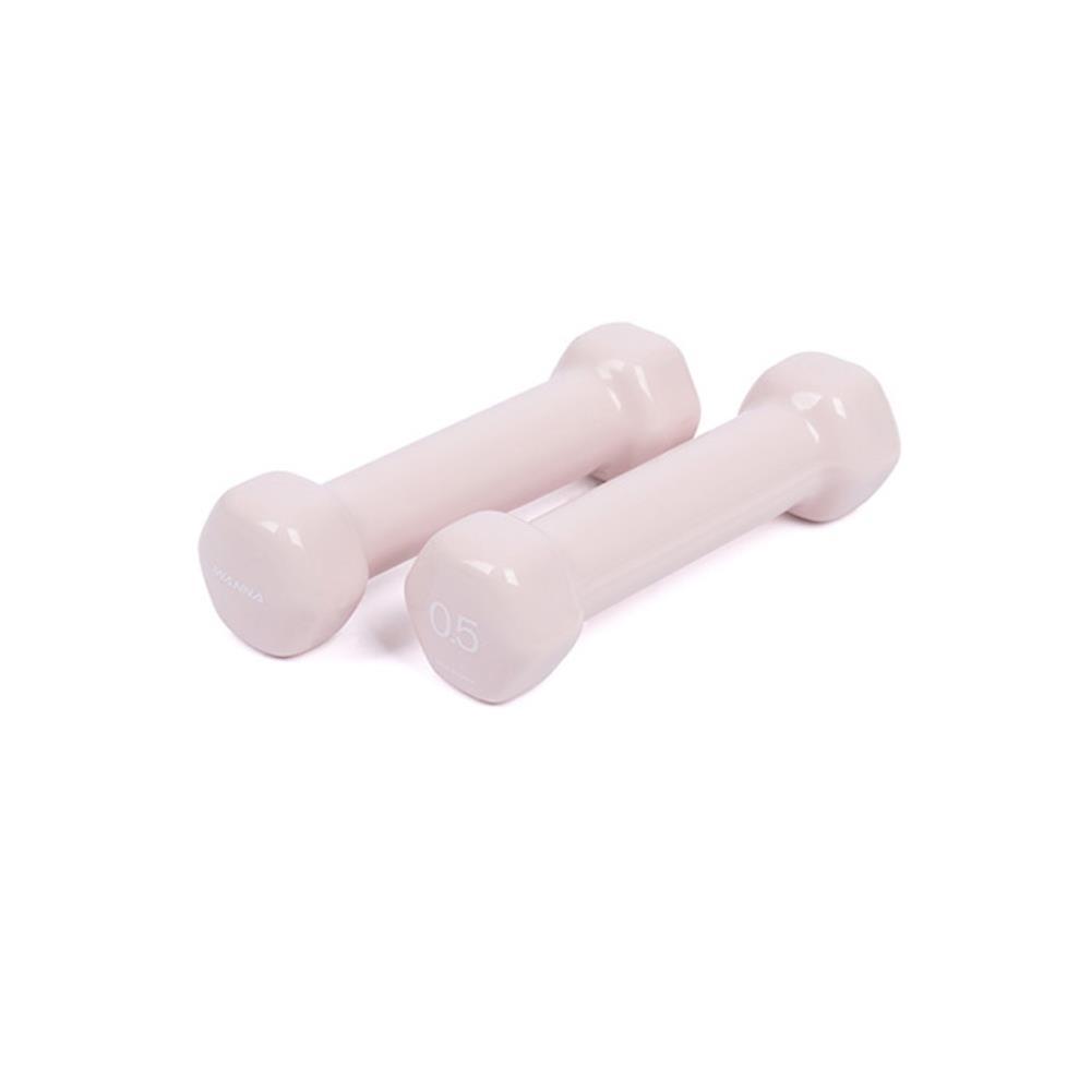 헬스 입문 여성용 0.5kg 육각 덤벨 아령 2개 : Ellies store