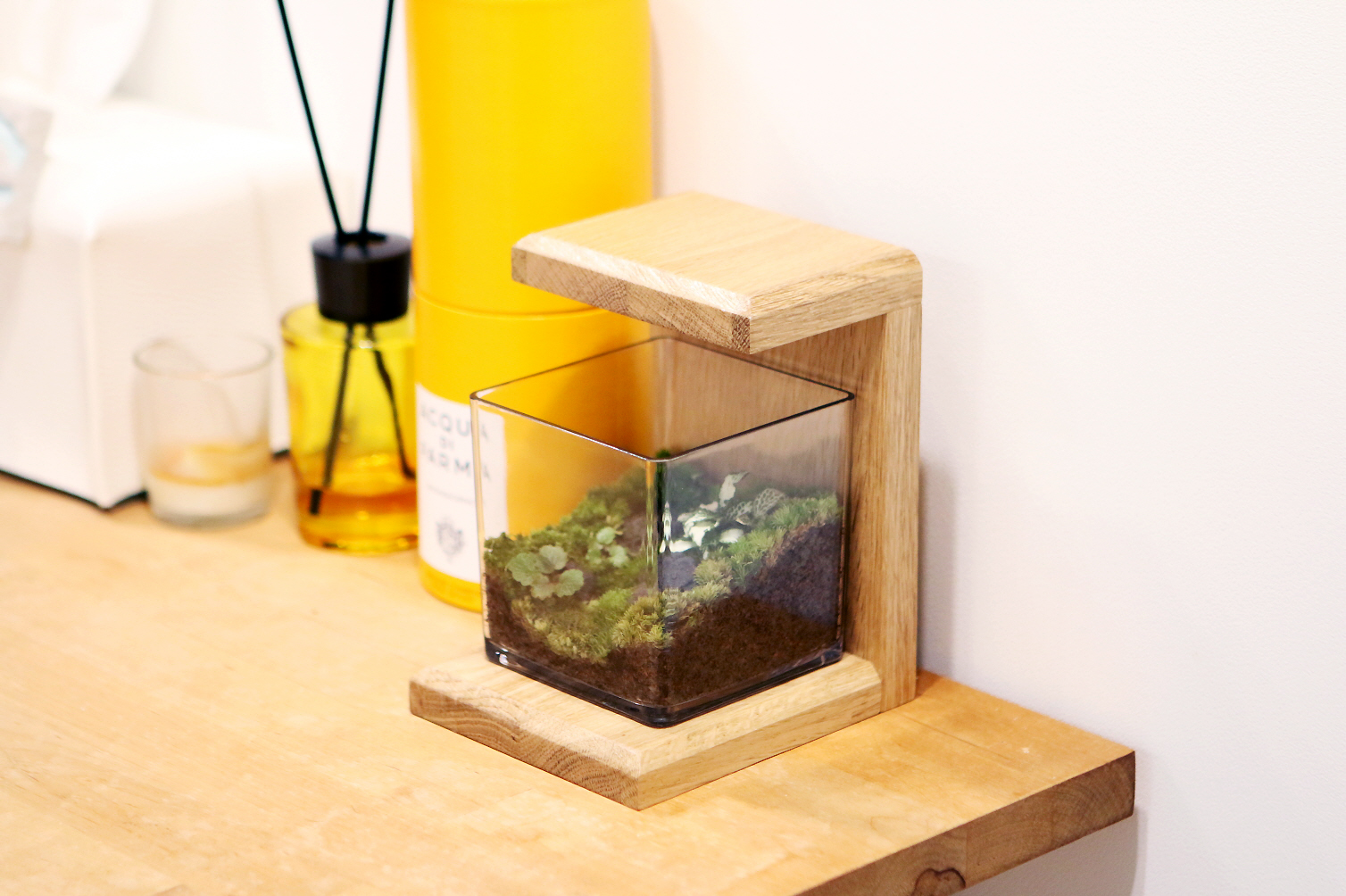 테라리움 DIY 키트 [기본형] 이끼 플랜테리어 승진선물 집들이선물 공기정화 조명 이미지 7