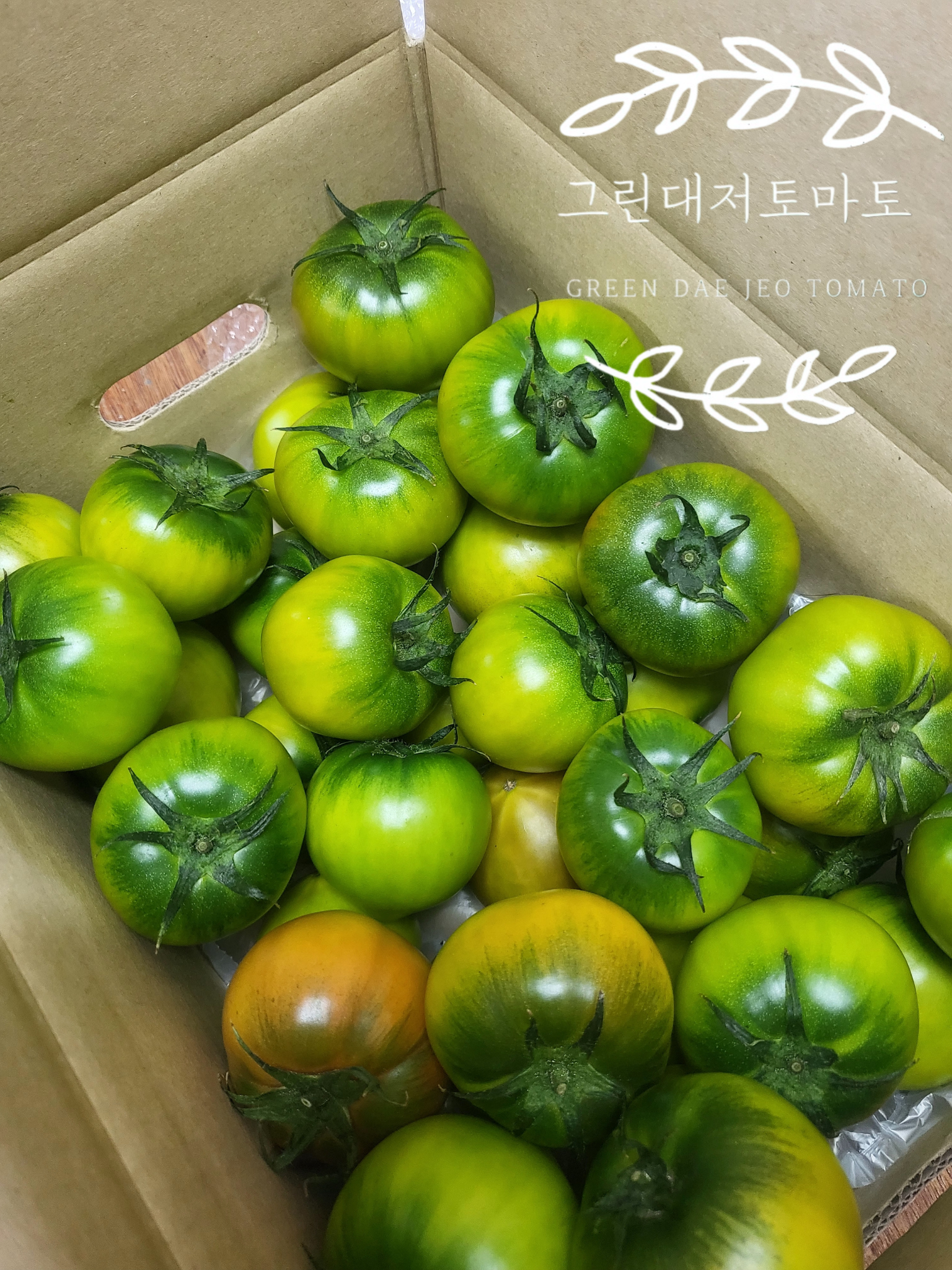 부산 대저 짭짤이 토마토 2.5kg 산지직송 짭짜리 대저토마토
