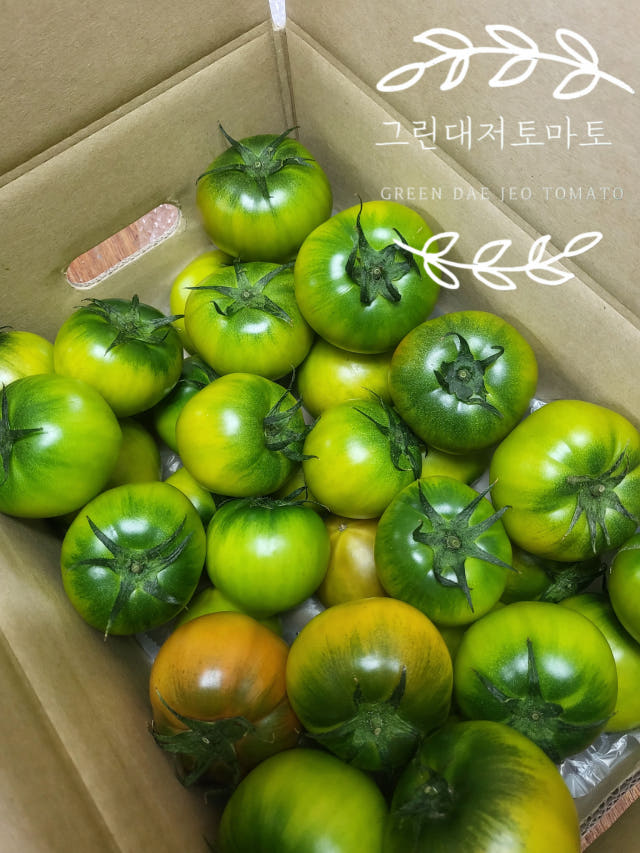 부산 대저 짭짤이 토마토 2.5kg 산지직송 짭짜리 대저토마토