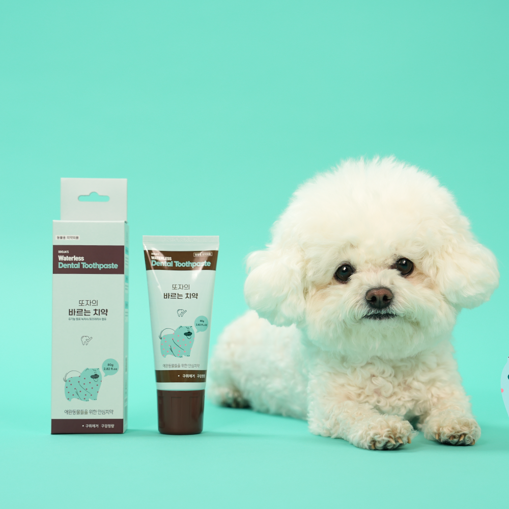 또자 바르는 애견치약 강아지 치석관리 댕댕이 입냄새 구취 제거 카라멜향 80g, 2개