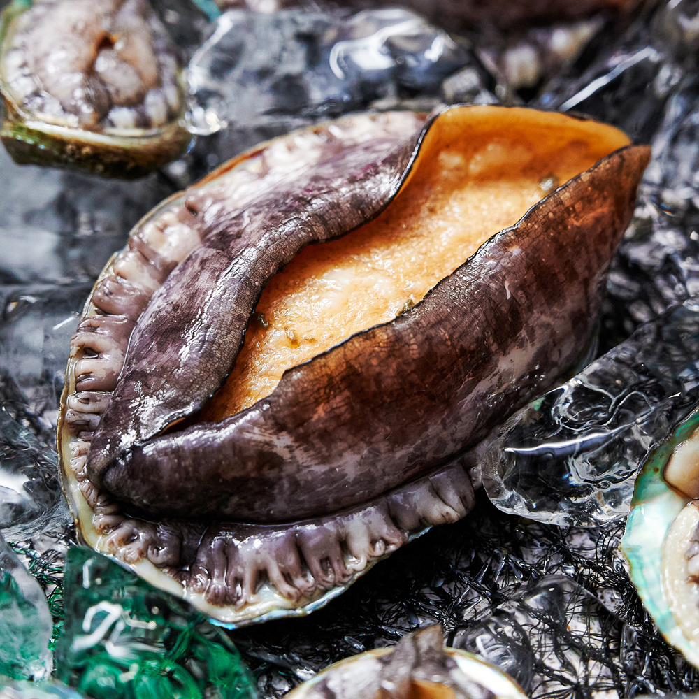 완도 산지직송 활전복 1kg