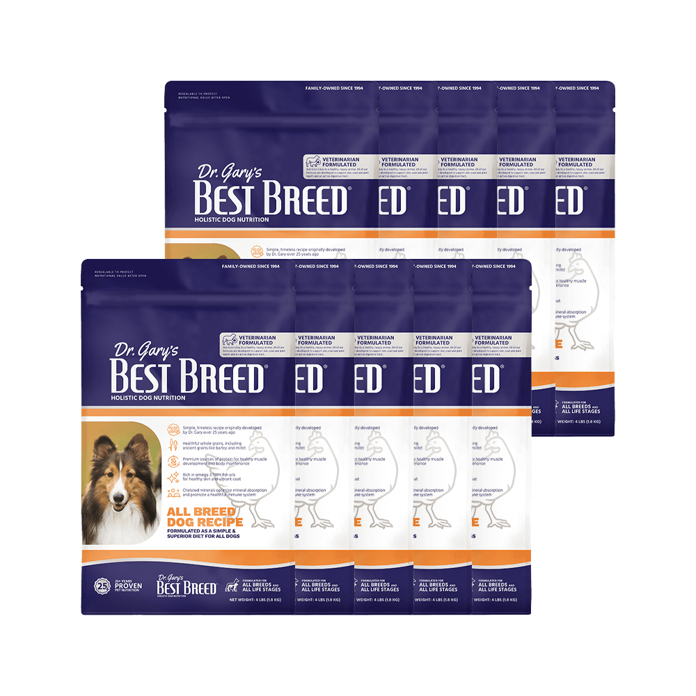 강아지사료대용량 베스트브리드 1등급 홀리스틱 올브리드 사료 올라이프, 1.8kg, 10개