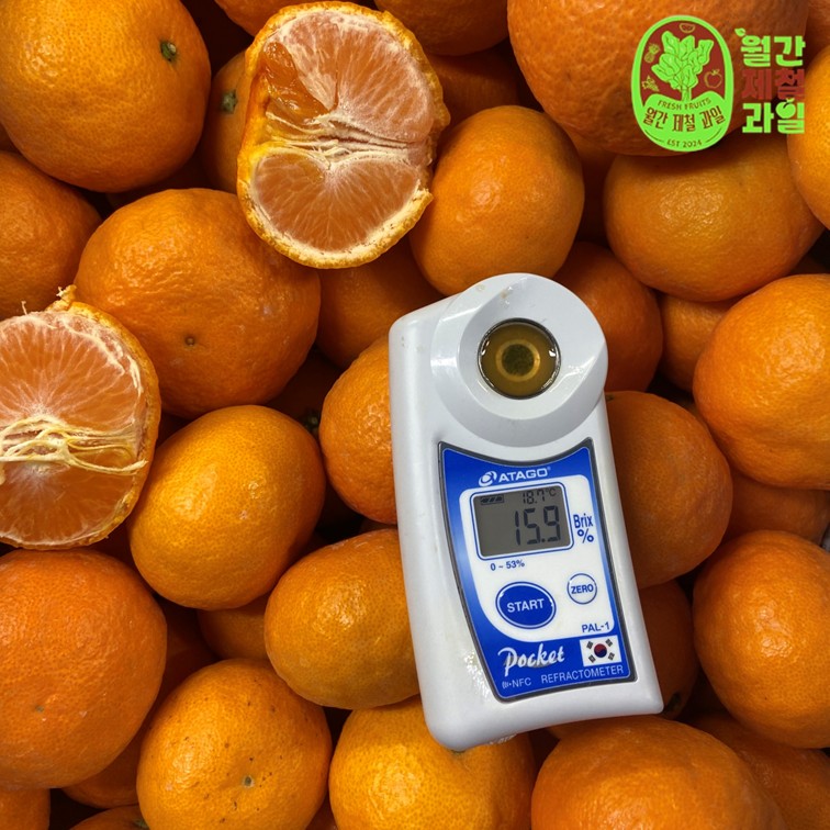 하귤 제주 유라귤 타이백 감귤 노지 극조생감귤 타이벡 감귤 10kg 5키로 이미지 7